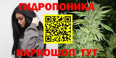 spice Гусиноозёрск