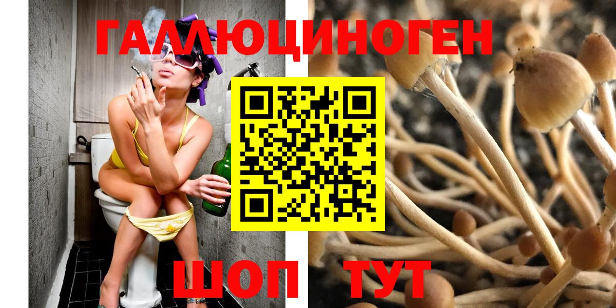 Каменск-Шахтинский  Псилоцибиновые грибы мицелий  Вход с VPN  Псилоцибиновые грибы Magic Shrooms 
