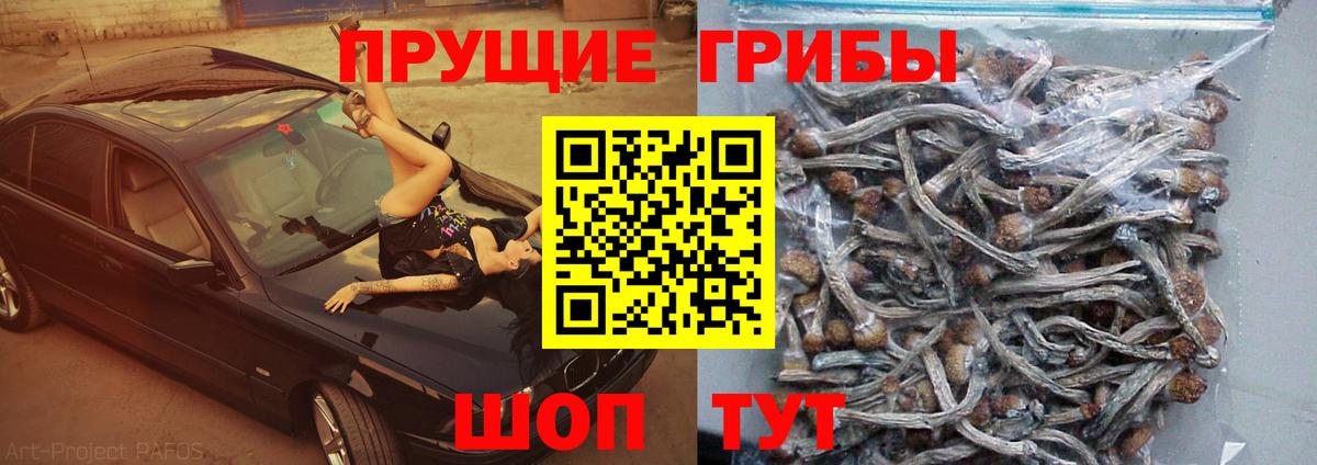 Псилоцибиновые грибы Magic Shrooms Каменск-Шахтинский