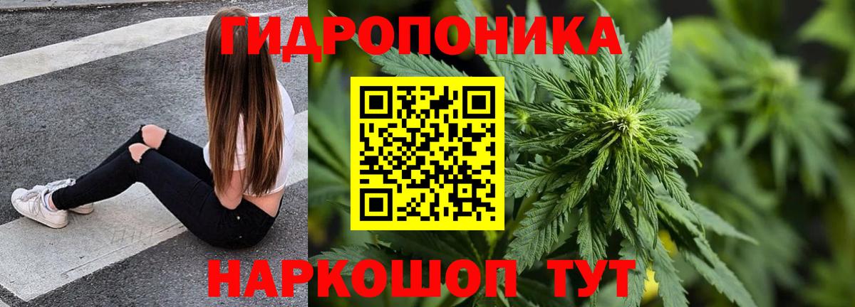 Каменск-Шахтинский  Конопля марихуана  Бошки марихуана семена  Каннабис Amnesia  Вход с VPN 
